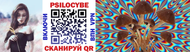 Псилоцибиновые грибы GOLDEN TEACHER  где купить наркоту  Петров Вал 