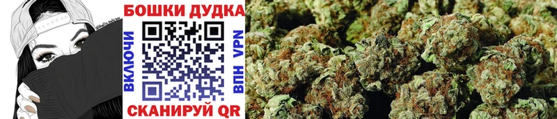Бошки Шишки индика  маркетплейс как зайти  Петров Вал 